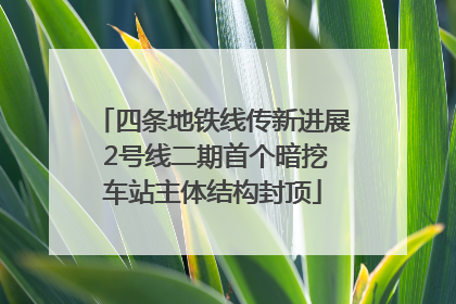 四条地铁线传新进展 2号线二期首个暗挖车站主体结构封顶